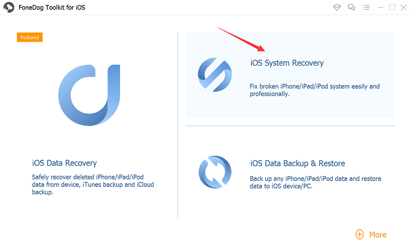 Sélectionnez Récupération du système iOS