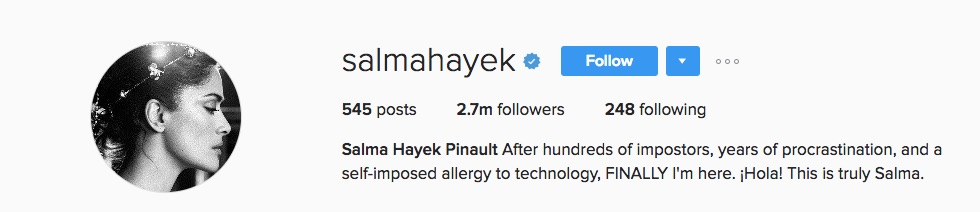 Bio Instagram en bref