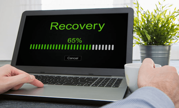 Avis sur Fields Data Recovery