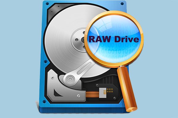 Logiciel de récupération de disque RAW: Zero Assumption Recovery