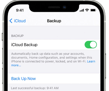 Restaurer à l'aide de vos données iCloud et écraser les photos actuelles