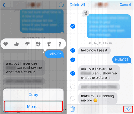 Copiez et collez iMessage dans un e-mail