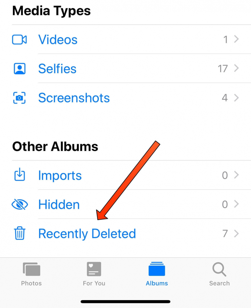 Récupérer des photos Snapchat supprimées sur iPhone à l'aide de l'album récemment supprimé de l'iPhone