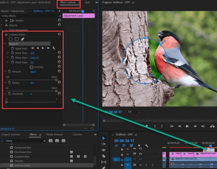 Améliorer la résolution vidéo à l'aide d'Adobe Premiere Pro