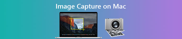 Capture d'image pour transférer des vidéos d'iPad vers Mac
