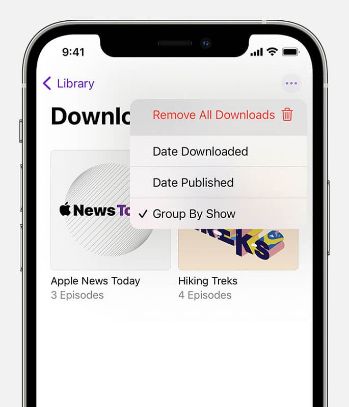 Choisissez Supprimer tous les téléchargements pour supprimer les podcasts de l'iPhone