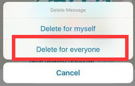 Choisissez Supprimer pour tout le monde pour supprimer l'historique des messages Viber