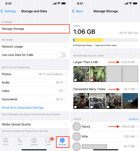 Suppression de WhatsApp Media sur iPhone via The Manager Storage