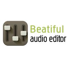Utilisez Beautiful Audio Editor pour enregistrer de l'audio sur Chromebook
