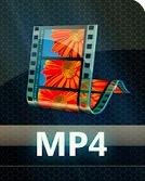Convertisseur vidéo Instagram - Convertisseur vidéo.MP4