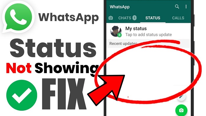 Le statut WhatsApp ne s'affiche pas
