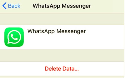 Supprimer les données WhatsApp iCloud pour effacer la sauvegarde WhatsApp