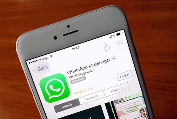 Mettre à jour WhatsApp pour corriger les notifications WhatsApp ne fonctionnant pas