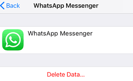 Suppression des données de sauvegarde iCloud WhatsApp